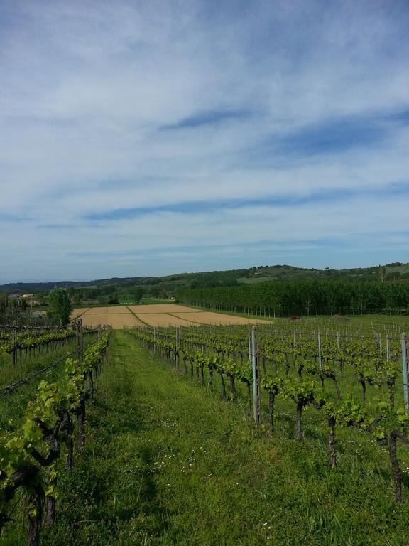 Podere Chiasso Gherardo Peccioli Exteriér fotografie