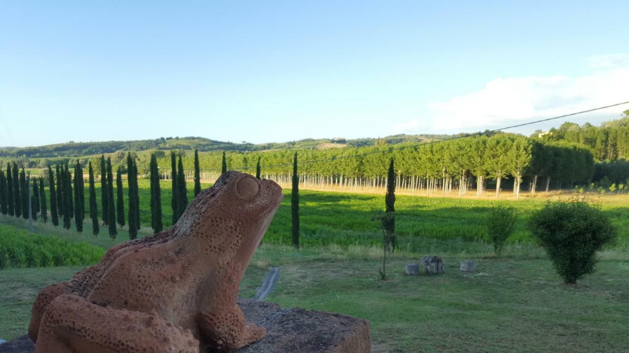 Podere Chiasso Gherardo Peccioli Exteriér fotografie